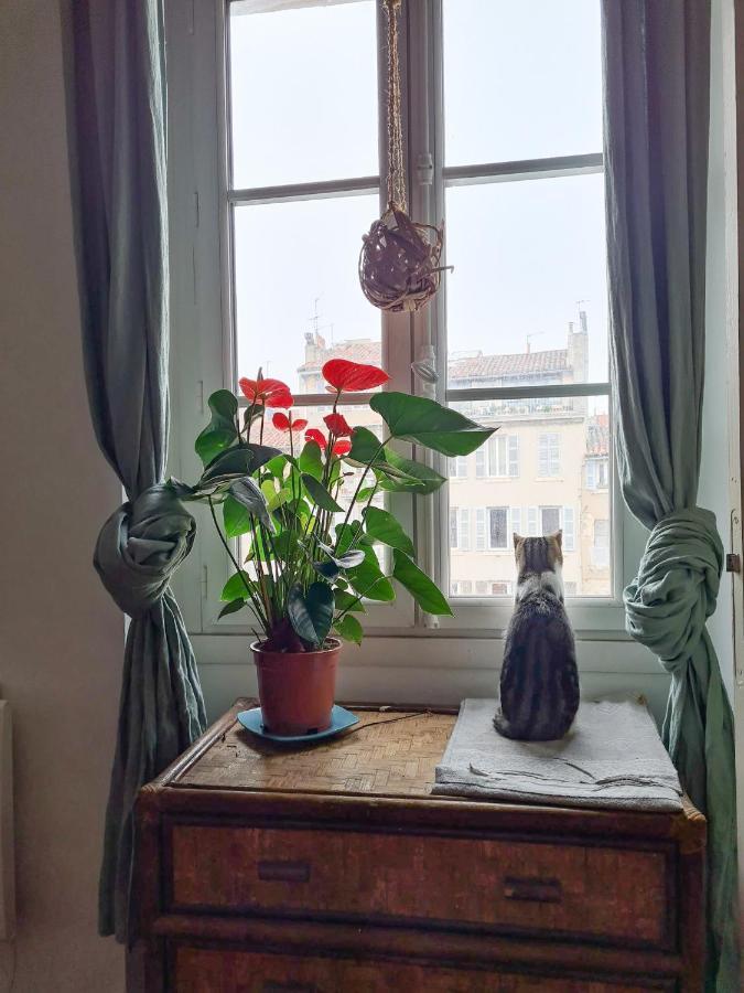 Jolie Chambre Dans Appartement Cosy En Plein Centre Марсель Екстер'єр фото